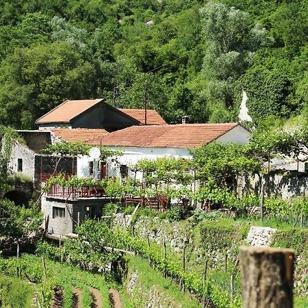 Country House Dajkovic Dupilo Dış mekan fotoğraf