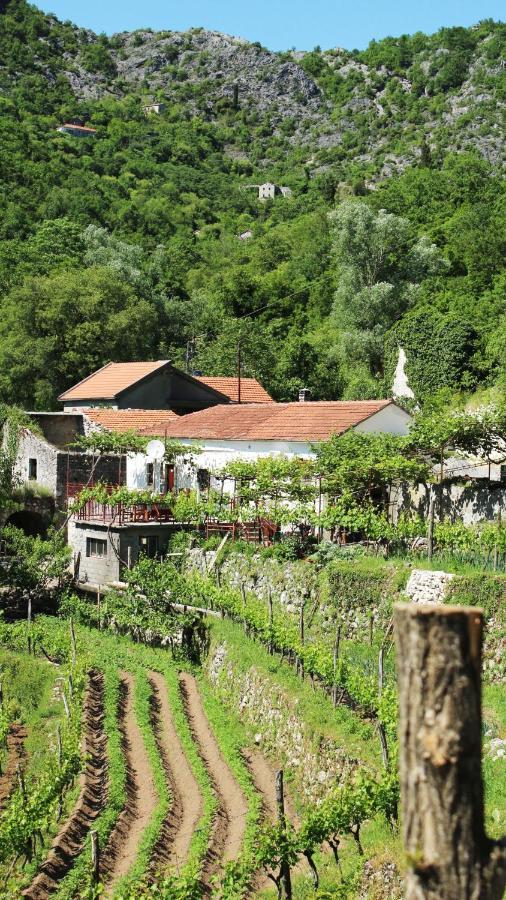 Country House Dajkovic Dupilo Dış mekan fotoğraf
